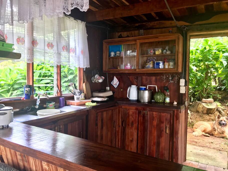 Gorgeous kitchen