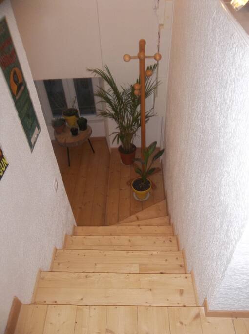 Petit escalier dans le hall d'entrée