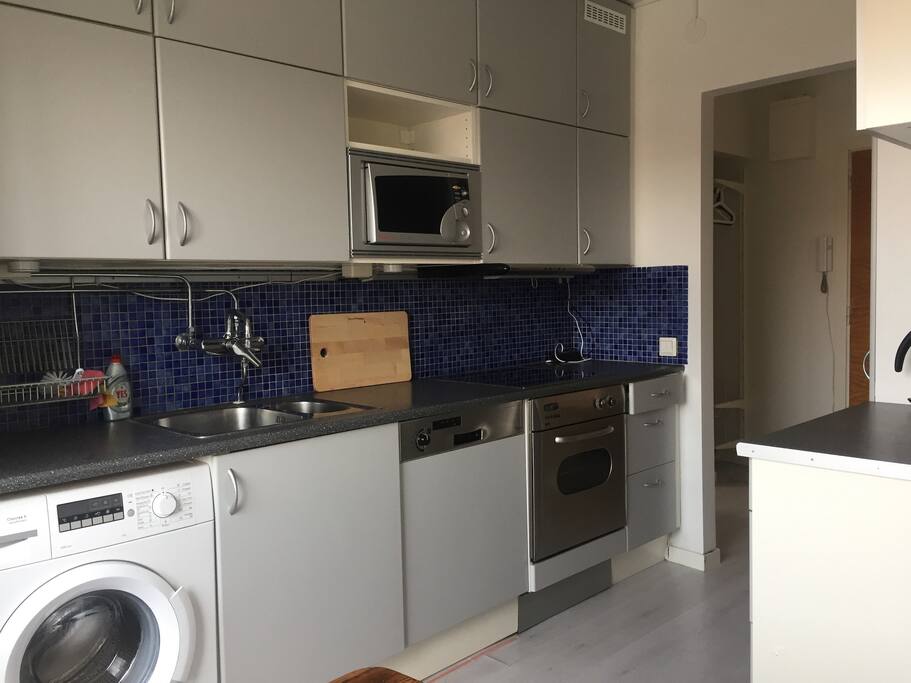 Main Kitchen, with the cooking stoves, dish washing machine and microwave. (All dishes, glasses and forks & knifes are inside the drawers. Cleaning equipments and materials are there too)