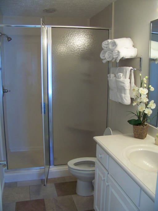 Master bathroom