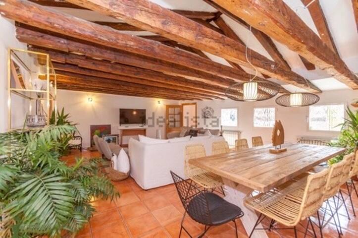 Oasis en el corazón de Madrid gallery image 2