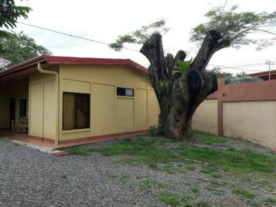 Area de parqueo