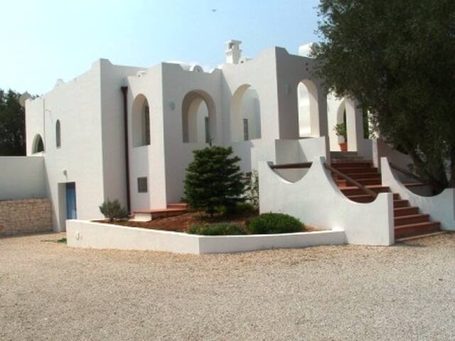 Villa Badessa, placed in a century-old olive grove