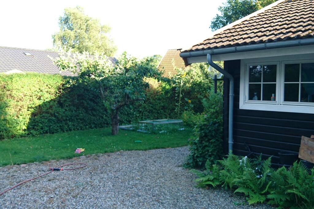 Parts of the house and the backyard