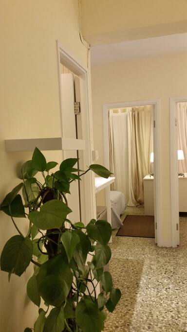 More space than most apartments in the area. Convenient with elevator.