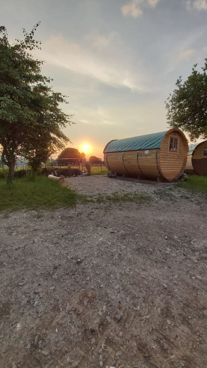 Fass Volker Im Grünen Auf Dem Biopferdehof - Melsungen