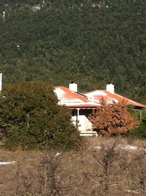 Το σπίτι μέσα στο καταπράσινο Μαίναλο. Mainalon Point - P.V.