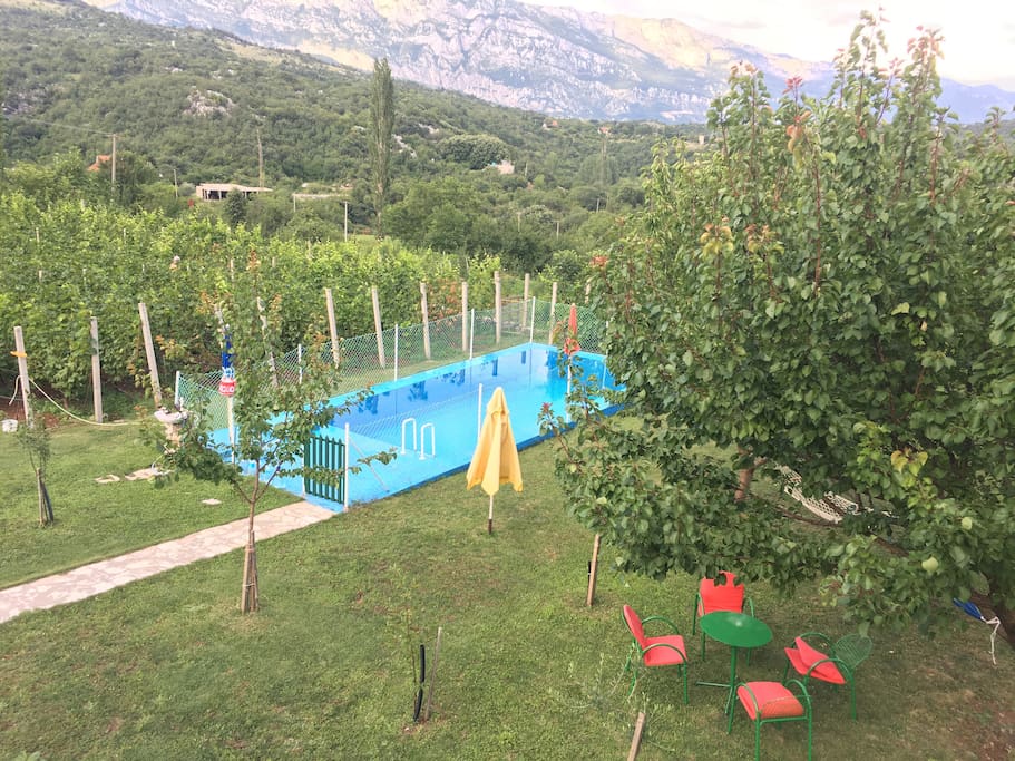 Pool and garden