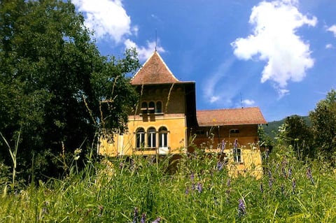 Large Historic Dolomites Villa