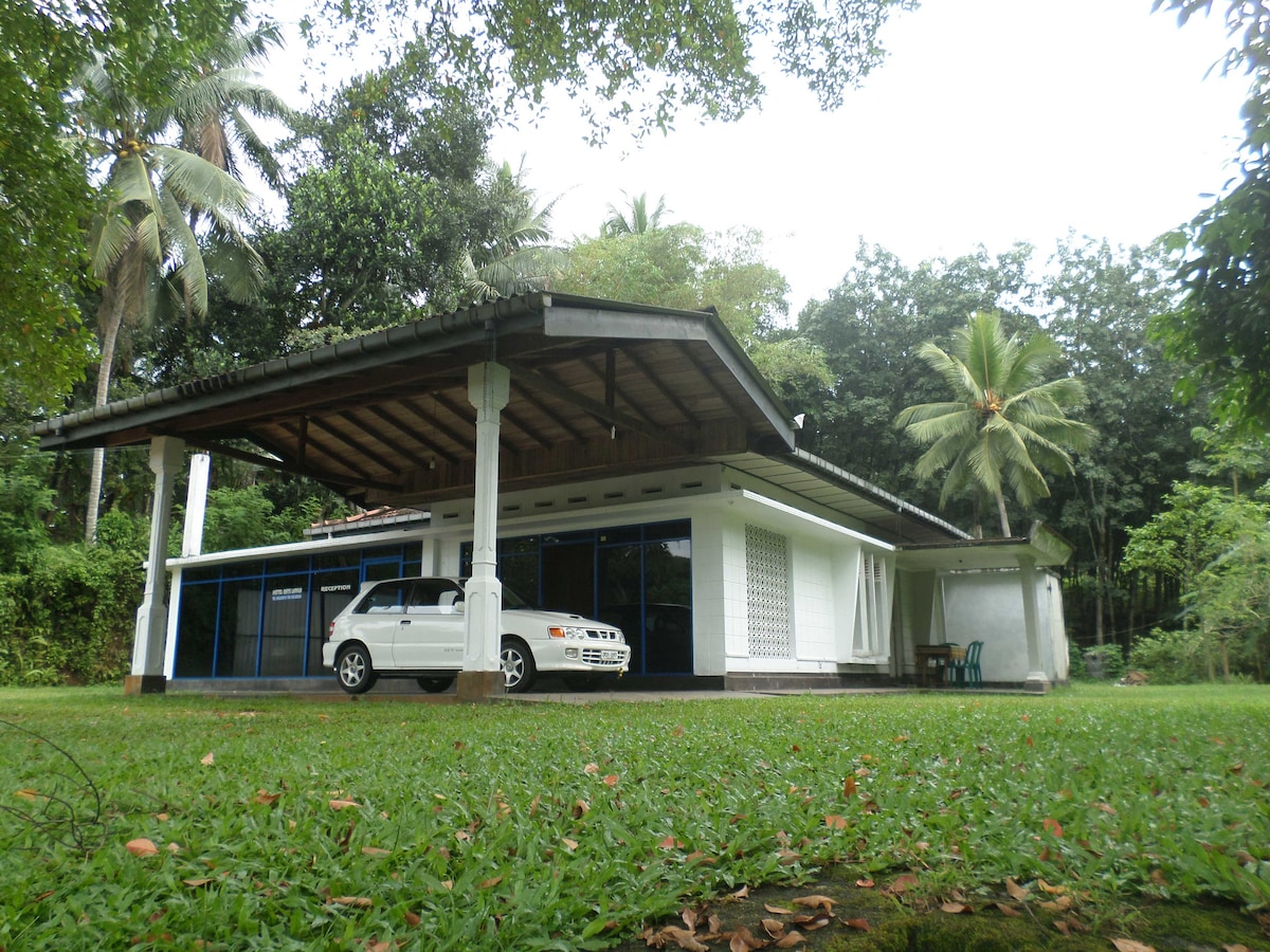 A single-story house features a wide wooden overhang and large glass windows, providing views of the surrounding greenery. A parked vehicle is visible in front of the home, situated on a lush green lawn, framed by palm trees and vibrant plant life.