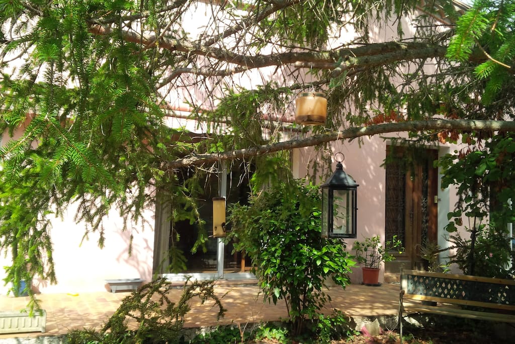 View of the house from the front garden dining area