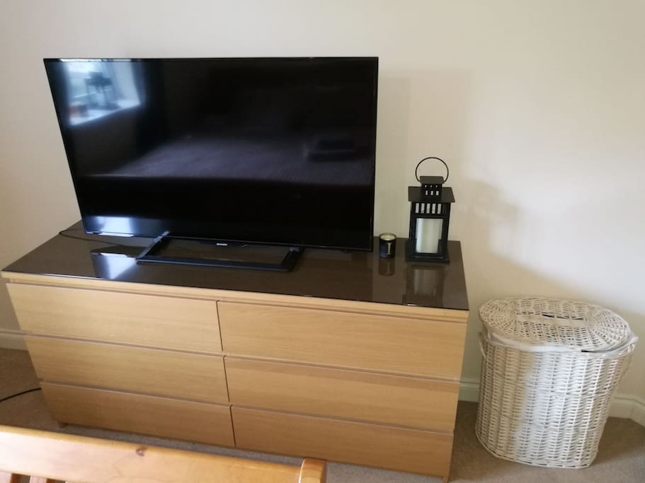 48" tv with chromecast, which will stream Netflix and other apps from any wifi device. Draws for storage.