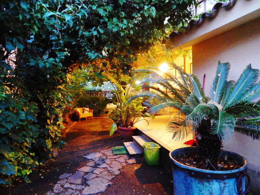 Garden by night