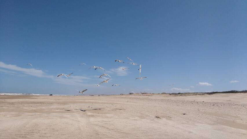 Monoambiente 1  1/2 cuadra del mar, cochera, WiFi