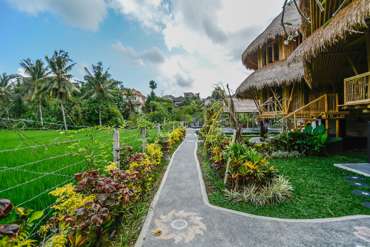 Villa in Ubud · ★4.6 · 2 bedrooms · 2 beds · 1 bath, συγκρίσιμο Airbnb