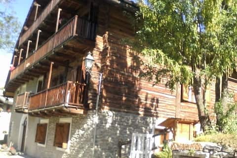 Sunny vintage cabin in the heart of the Alps