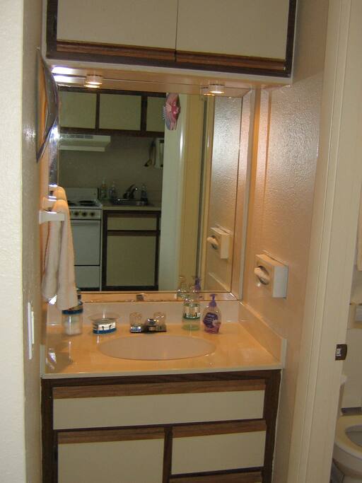 Vanity sink outside of shower stool door.