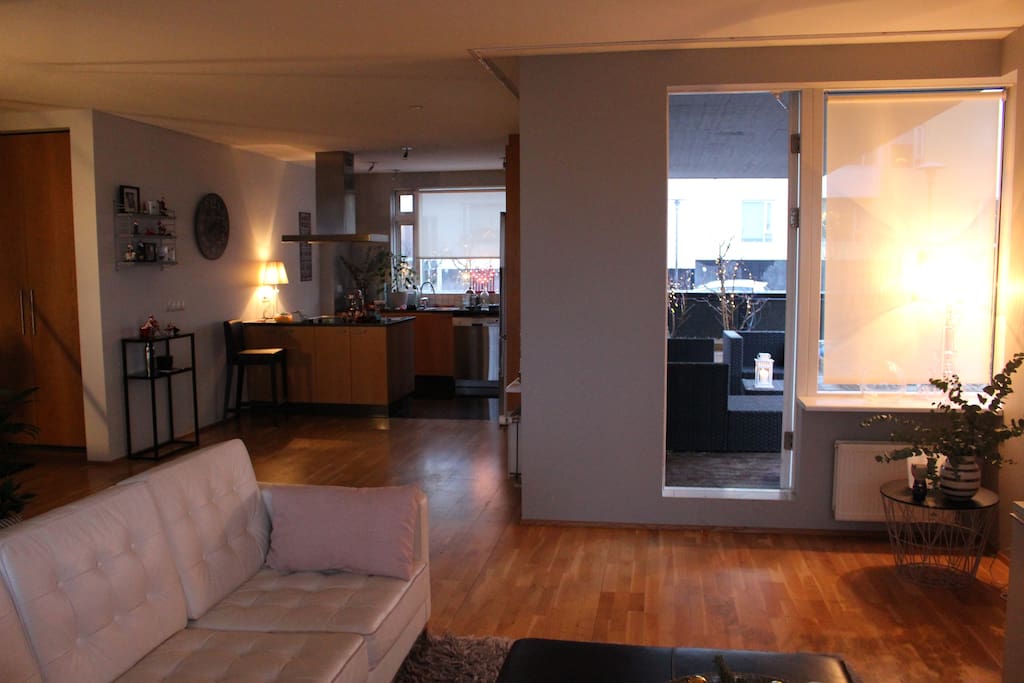 Spacious living room and open kitchen