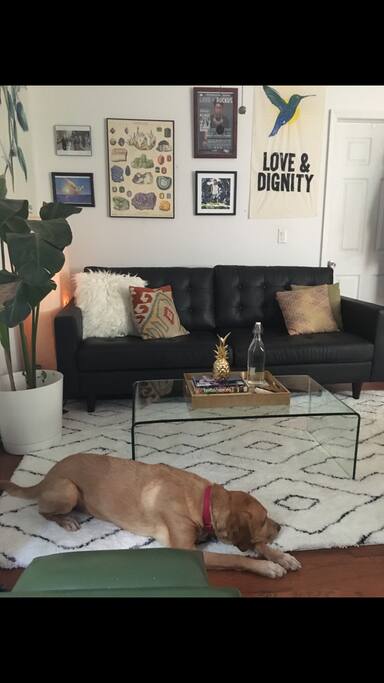 Living room, close up.