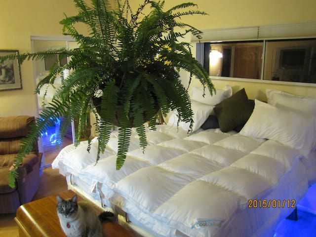 Winterhaven Vacation or Gem Show - UA *OFTEN FULL*