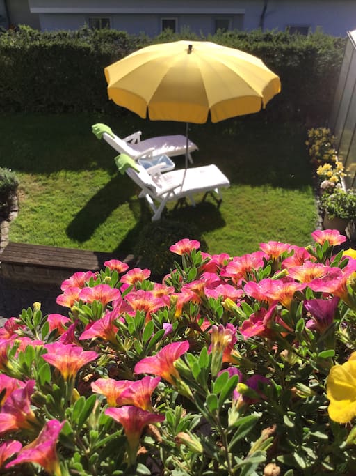 Liegewiese mit Relaxliegen Sonnenschirm und Beistelltisch