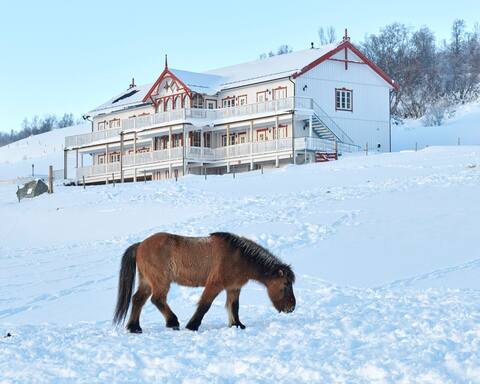 Hjerkinn Fjellstue apartment with one bedroom