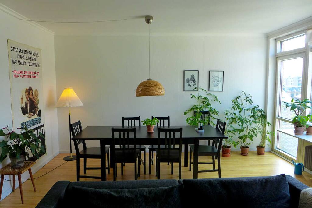 Bright and spacious living room