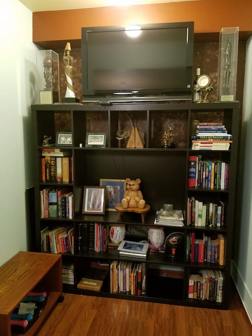 TV and library collection in bedroom