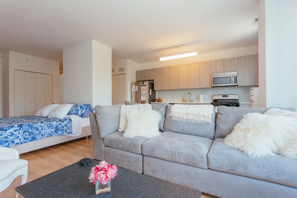 Modern, stylish XLarge 800 square foot studio. Spacious with a comfortable layout.