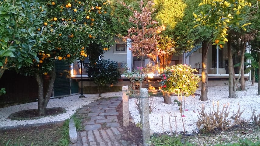 Vale da Silva Villas managed Airbnb listing 2