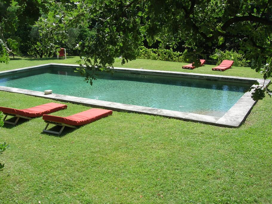 la grande piscine à l'abri des regards
