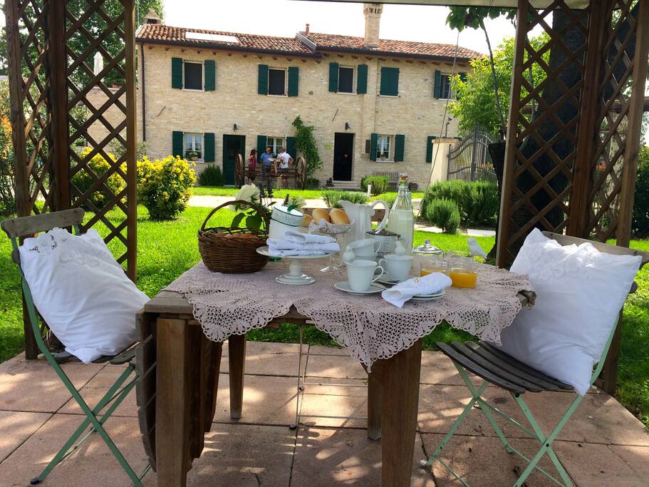 Garden view