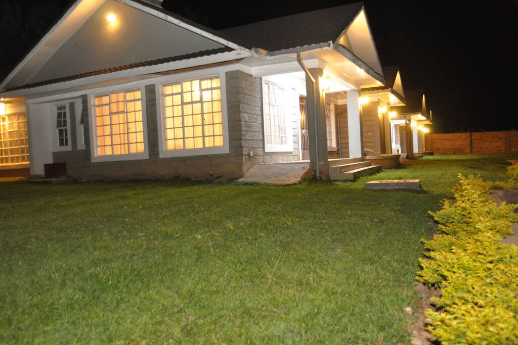 Night view of garden