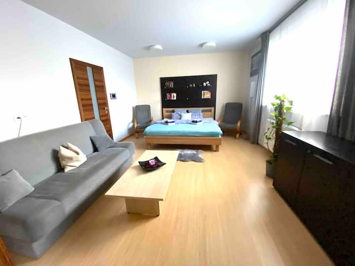 Manželská posteľ 180/200 s rozkladacou pohovkou 1 a 1/2 lôžka v spálni 