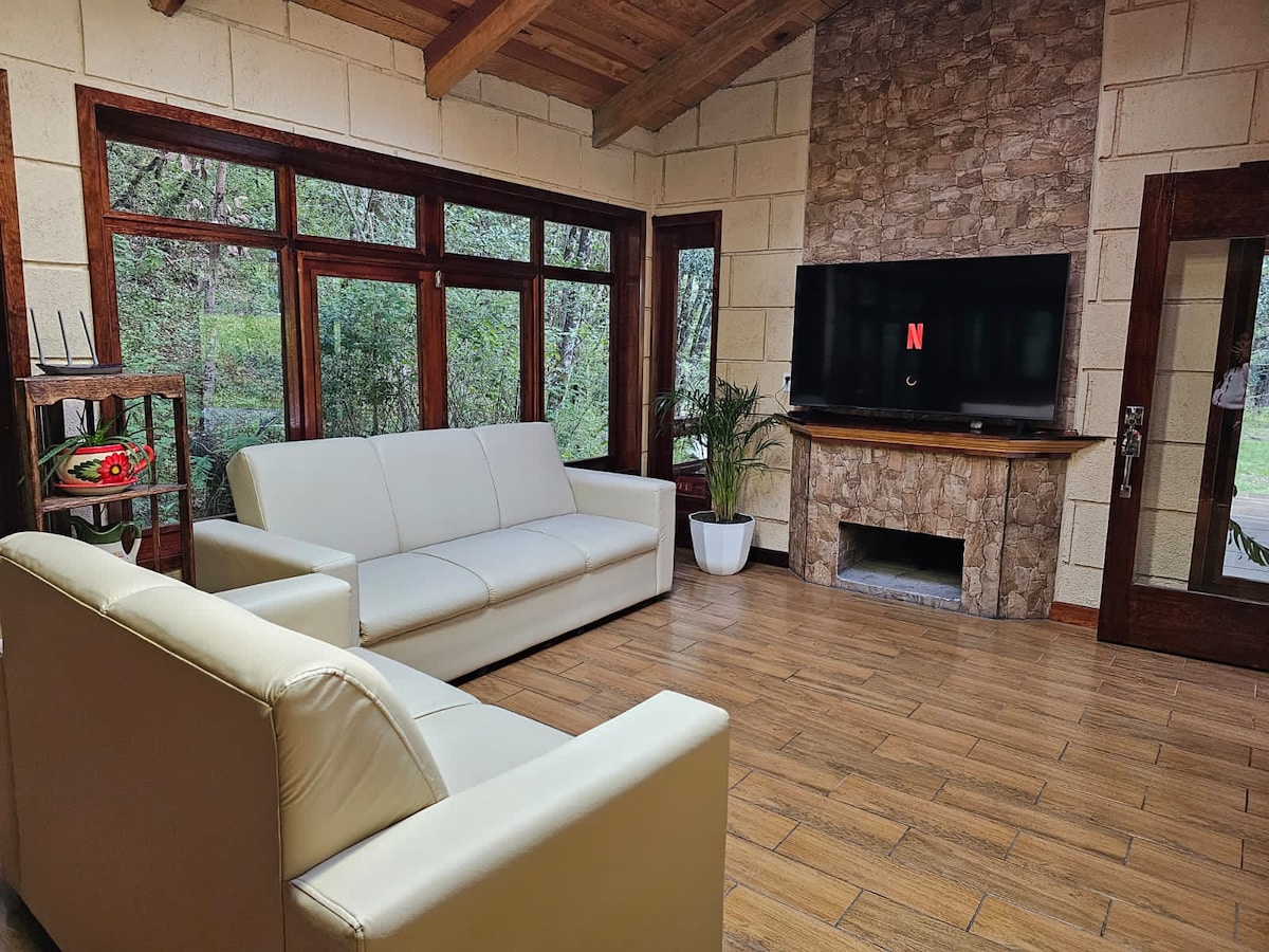 A bright living area features two comfortable white sofas facing a large flat-screen TV mounted above a stone fireplace. Natural light fills the space through multiple windows, with greenery visible outside. A potted plant adds a touch of nature to the room.
