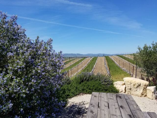 The Grape Escape Getaway