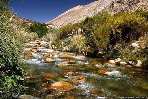 A tranquil stream flows through a rocky landscape, surrounded by lush greenery. The clear water glistens in natural sunlight, reflecting the bright blue sky above. Ornate shrubs and grasses line the bank, and a rugged mountain rises in the background.