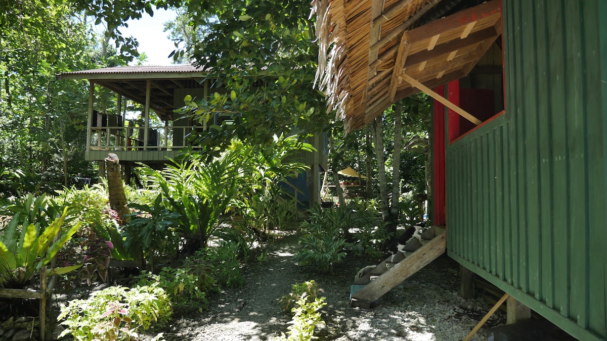 Two separate houses are nestled within lush tropical greenery. A bamboo-style structure features an expansive porch, while a vibrant green house is accented with a wooden staircase. The pathway is lined with various tropical plants, creating a tranquil and inviting outdoor atmosphere.