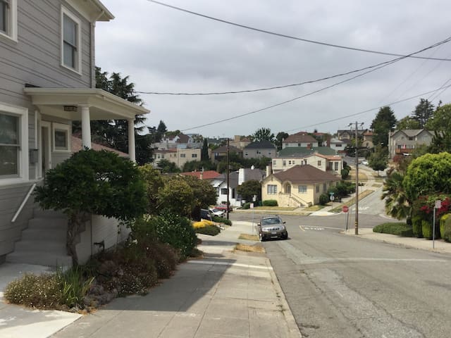 Bright, Airy Edwardian Home with Garden Sanctuary gallery image 4