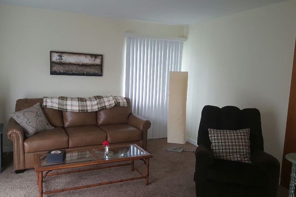Living Room w/pull out queen sofa