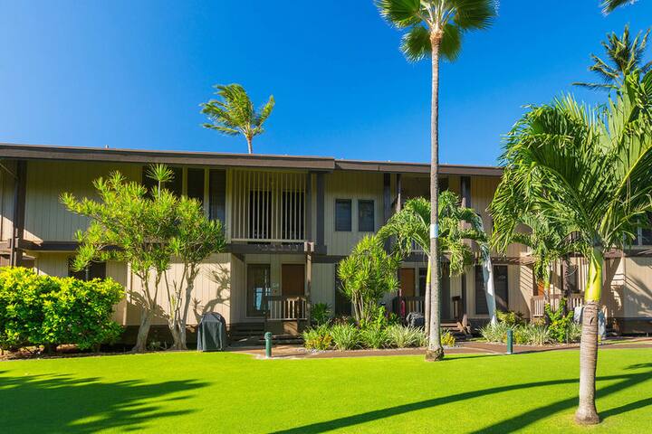 Oceanfront with beach and pool gallery image 5