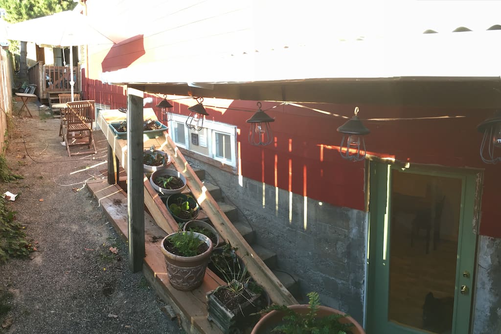 Courtyard and Entry