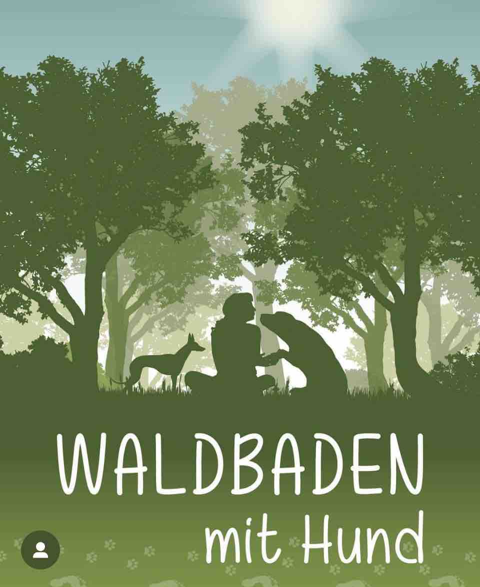 A peaceful forest scene is depicted, featuring a person sitting on the ground surrounded by trees, with a dog next to them. A deer can be seen in the background, enhancing the natural atmosphere. The words 'WALDBADEN mit Hund' are displayed at the bottom.