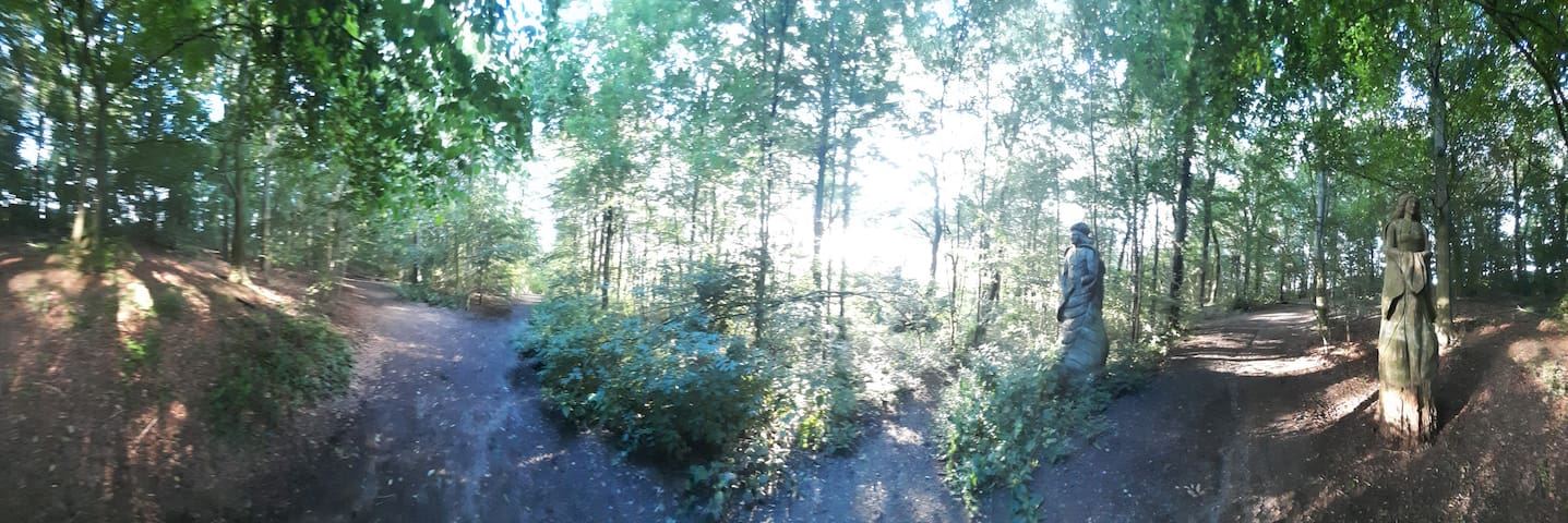 3 Bedroom house near Woods, edge of Peak District