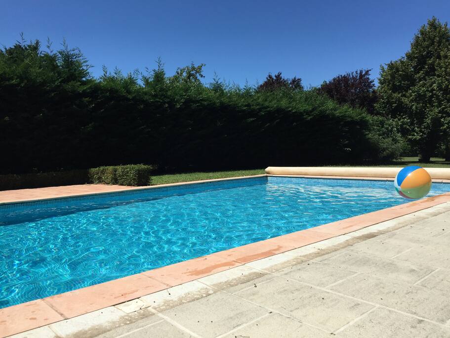 Enjoy a dip in our crystal clear pool!