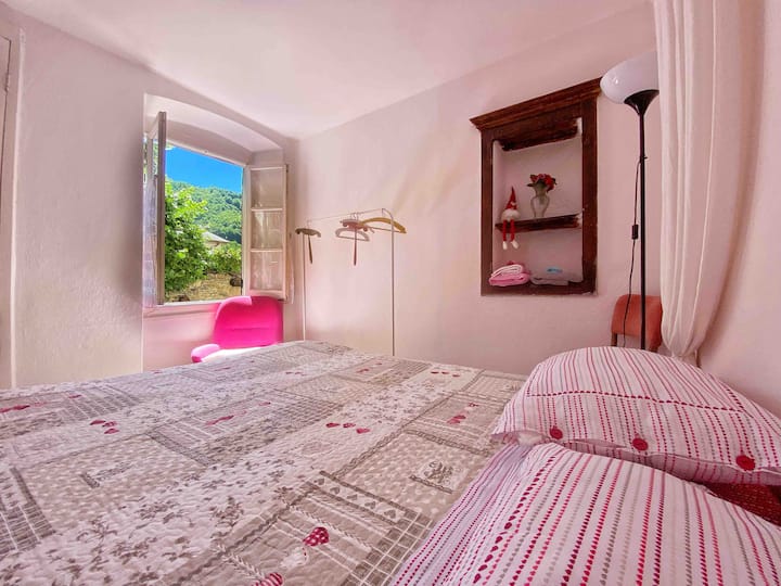 Habitación 1