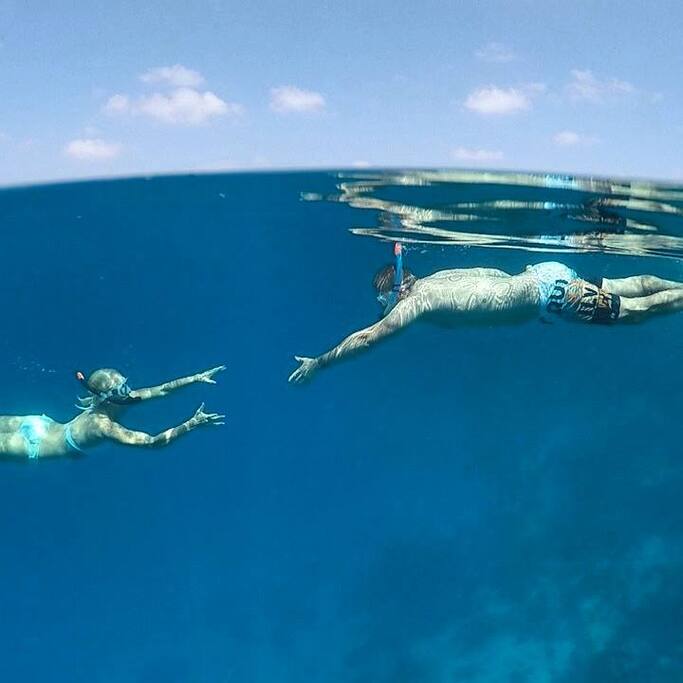 enjoy the snorkeling