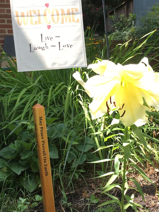 Front entrance: giant peace lilies greet you at the front walk (blooms in summer).