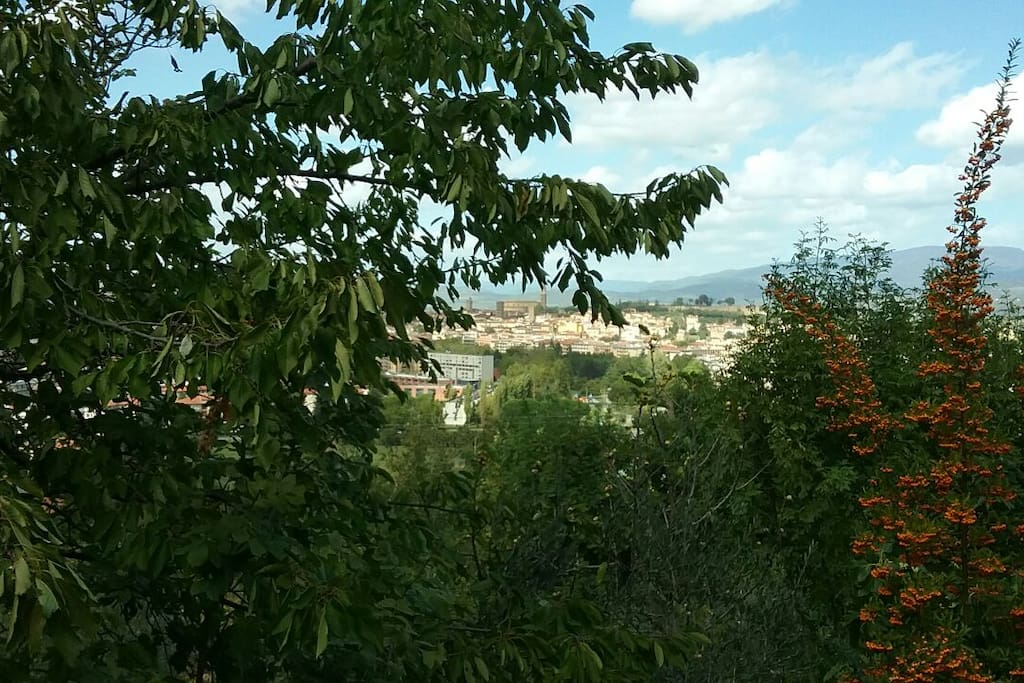 Il panorama di Arezzo che si può ammirare dalla casa