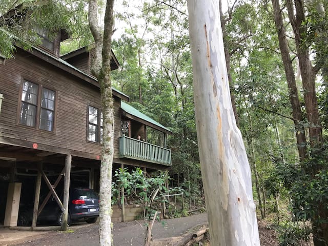 Lyrebird Cottage Enjoy Spring Special Rates Houses For Rent In